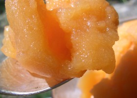 Sorbet carottes , cannelle