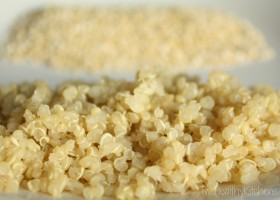 Bases du quinoa de J.P. Derenne
