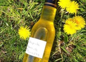 Sirop de fleurs de pissenlit d’Agnès
